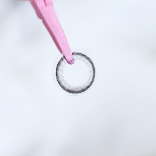 Holoris Classic Black(日拋)